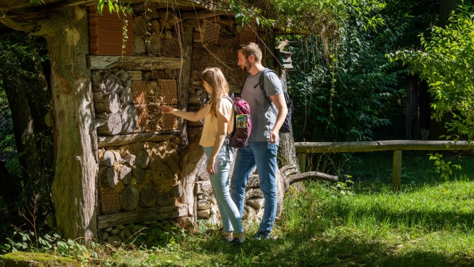 Waldhaus in Altenbeken ©Teutoburger Wald Tourismus, P. Gawandtka